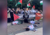Protesters recreate mini-Gaza scene in Berlin to highlight suffering | Israel-Palestine conflict