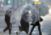 Dozens injured, power cut as Typhoon Shanshan hits southern Japan | Weather News