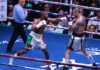 Mayweather dominates Gotti again in Mexico City exhibition boxing rematch | Boxing News