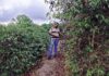 The Human Cost of Coffee: Rescuing slave workers in Brazil’s farms | Documentary