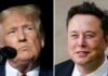 Elon Musk set to interview Donald Trump – as ex-US president returns to X | US News