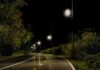 Leaving streetlights on all night appears to be changing how nature works, study finds | Science & Tech News