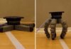 Watch: This is how a mushroom wearing a robot body dances | Science & Tech News
