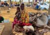 Dozens killed by paramilitary RSF in Sudan’s Gezira, aid groups say | Sudan war News