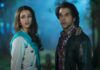 Vicky Vidya Ka Woh Wala Video Lifetime Box Office Collections: Rajkummar Rao and Triptii Dimri film underwhelms; Targets a Rs 55 crore finish worldwide