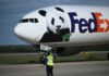 Excitement as two new pandas arrive in US from China | Wildlife News