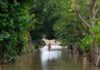World ‘paying terrible price’ for climate inaction, UN’s Guterres warns | Climate News