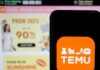 Temu to be investigated by EU tech regulators over sale of illegal products