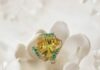 Titan Co sees jewellery segment revenue grow 26% year-on-year in FY25 Q2