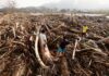 New storm bears down on the Philippines after Typhoon Usagi wrecked havoc | Weather News