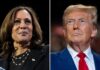 Kamala Harris calls Donald Trump to concede defeat in US election | US Election 2024 News