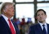 Trump expected to pick Florida Senator Rubio as top diplomat, reports say | Politics News