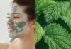 6 benefits of lemon balm for skin