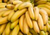 Swedish minister’s staff insist on banana-free rooms due to ‘weirdest phobia’ | World News