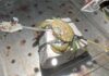 Crabs feel pain, scientists find – prompting calls for more humane ways to cook shellfish | Science, Climate & Tech News