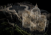 AI used to recreate historic Vatican church and identify damage invisible to naked eye | Science, Climate & Tech News