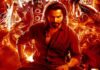 Baby John Day 7 India Box Office: Varun Dhawan’s movie fails to capitalize on New Year’s Eve; adds Rs 2 crore to its tally