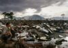 On 20th anniversary of world’s worst tsunami, experts warn of complacency | Tsunami News