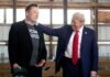 Trump rejects taunts that Elon Musk is real power behind US president-elect | Donald Trump News