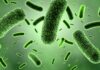 Bleeding eye virus kills 15 people in Rwanda: Know Marburg symptoms