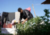 Palestinian boy grows vegetables for the hungry in Gaza | Gaza