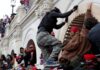 Capitol riots: Man convicted of taking part in disorder expects Trump to set him free | US News