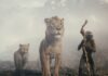 Mufasa: The Lion King – six key things to know before watching the prequel | Ents & Arts News