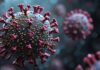 hMPV outbreak in China: Know its symptoms and causes