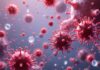 Three cases of hMPV detected in India: What you need to know