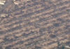 Aerial views show widespread destruction from LA fire