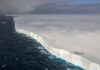 World’s largest iceberg on crash course with island, putting millions of penguins in danger | World News