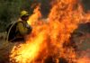 Lives on the line: Low pay has US wildland firefighters quitting | Environment News