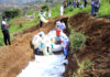 Video: Red Cross buries 18 bodies in mass grave amid Bukavu clashes | Crime