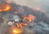 At least 18 dead as ‘unprecedented’ wildfires rage across South Korea | Environment News