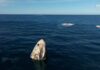 NASA astronauts splash down off Florida coast after nine months stuck in space | Science, Climate & Tech News