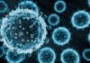 H5N1 strain of bird flu has potential to become pandemic, says UK expert | Science, Climate & Tech News