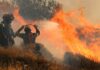 Greece: Wildfire tears through southern Crete – forcing more than 1,500 to flee homes and hotels | World News