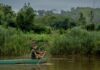Dangerous Mekong River pollution blamed on lawless mining in Myanmar | Environment News