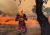 Millions of people threatened by wildfires near their homes, research finds | Science, Climate & Tech News