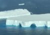 One of the world’s biggest icebergs is finally breaking up after 40 years | Science, Climate & Tech News