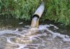 English water firms get lowest environmental rating since records began | Money News