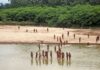 Who are the world’s indigenous uncontacted peoples and why are they under threat? | World News