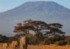 Five dead in a helicopter crash on Mount Kilimanjaro – Africa’s highest mountain | World News