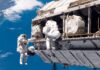 New study finds astronauts’ brains change after space travel | Science, Climate & Tech News