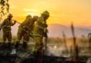Human remains found as Australia continues to battle bushfires | World News