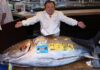 ‘When I see a good-looking tuna, I cannot resist’ – massive bluefin sells for £2.4m | World News