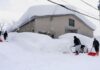 At least 35 killed after weeks of heavy snowfall in Japan | World News