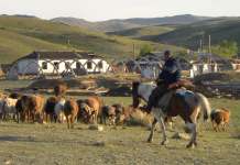 Mutual aid and self-sufficiency are key to life near USSR’s contaminated nuclear test zone in Kazakhstan