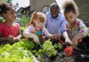 School gardens help students learn science and connect with agriculture – but making them happen isn’t easy
