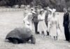 Jonathan, the giant tortoise, the world’s oldest living land animal ‘is alive’ after getting caught up in alleged crypto scam | World News